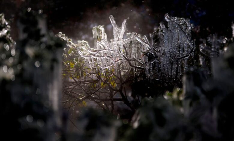 Texas Governor Greg Abbott to address state’s handling of severe winter weather crisis in press conference